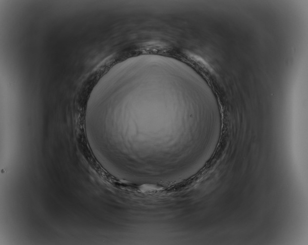 X0000086761399200705041439