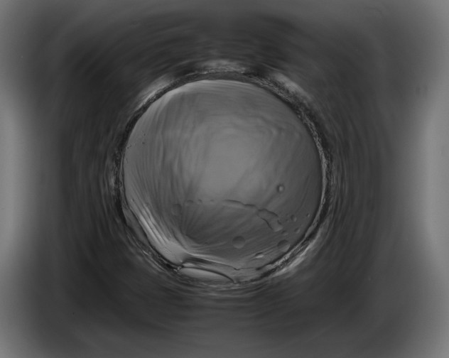 X0000086761401200705041439