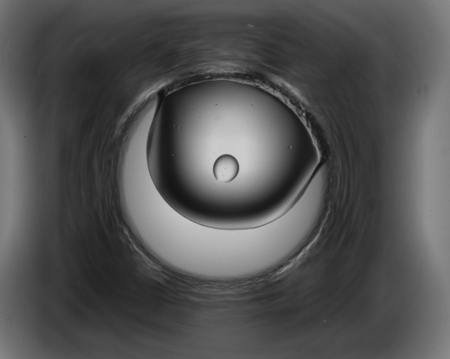 X0000086761402200705041439