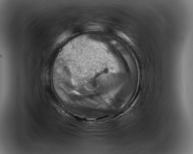 X0000086761403200705041439