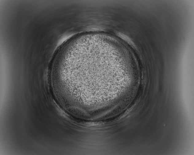 X0000086761404200705041439