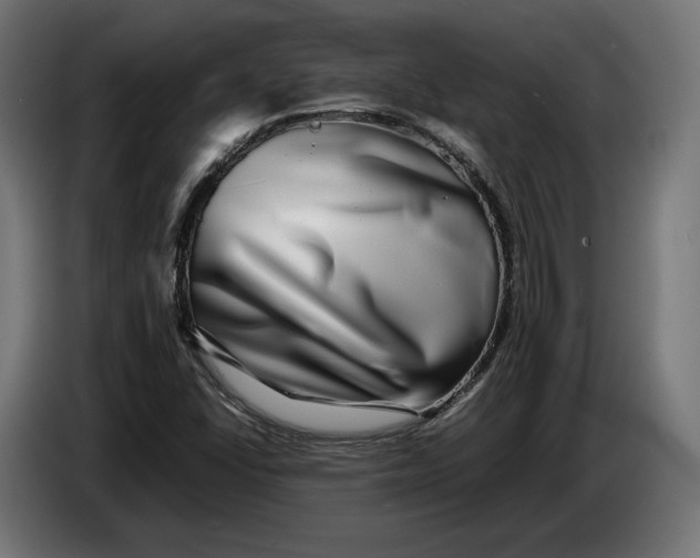 X0000086761406200705041439