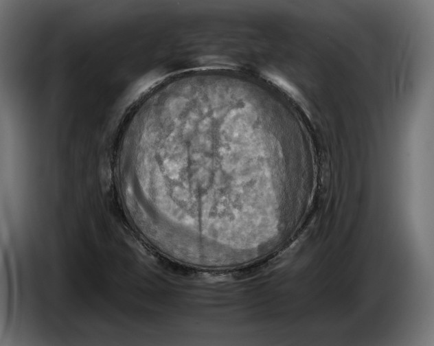 X0000086761407200705041439