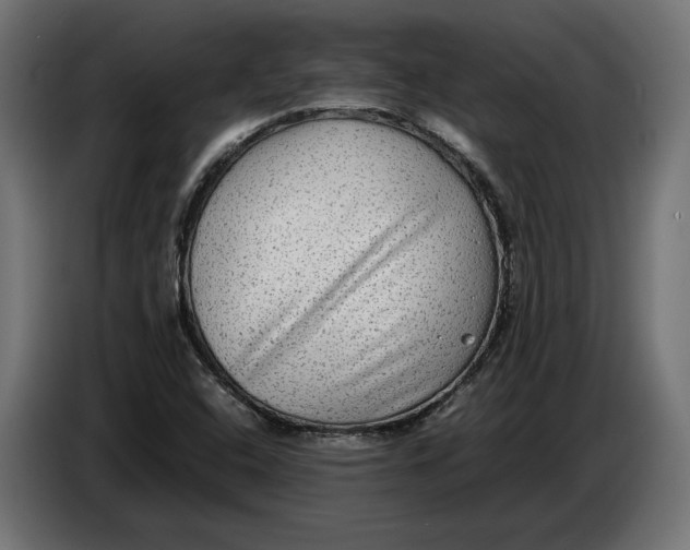 X0000086761408200705041439