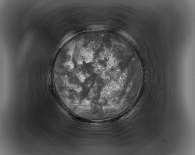 X0000086761409200705041439