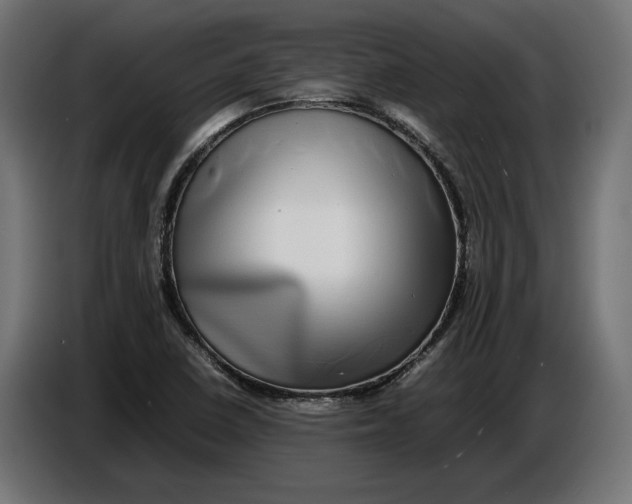 X0000086761410200705041439