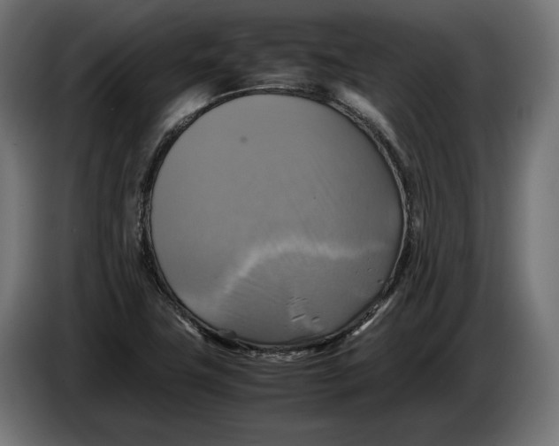 X0000086761411200705041439