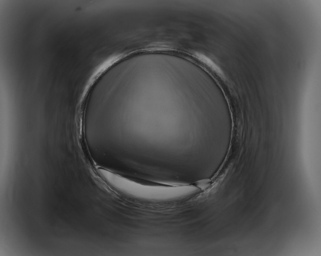 X0000086761413200705041439