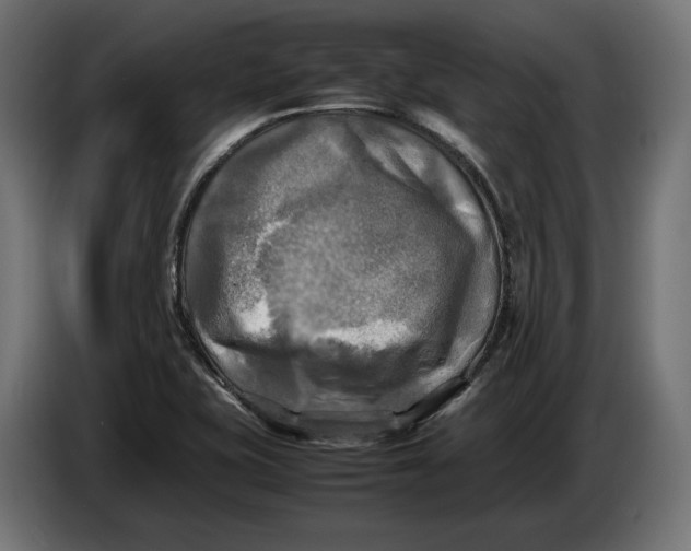 X0000086761415200705041439