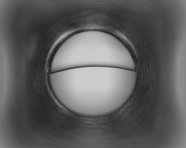 X0000086761416200705041439