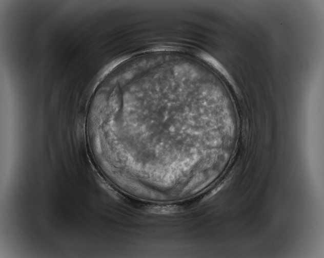 X0000086761417200705041439