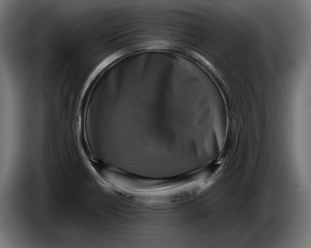 X0000086761418200705041439