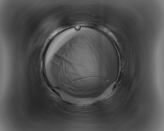 X0000086761419200705041439