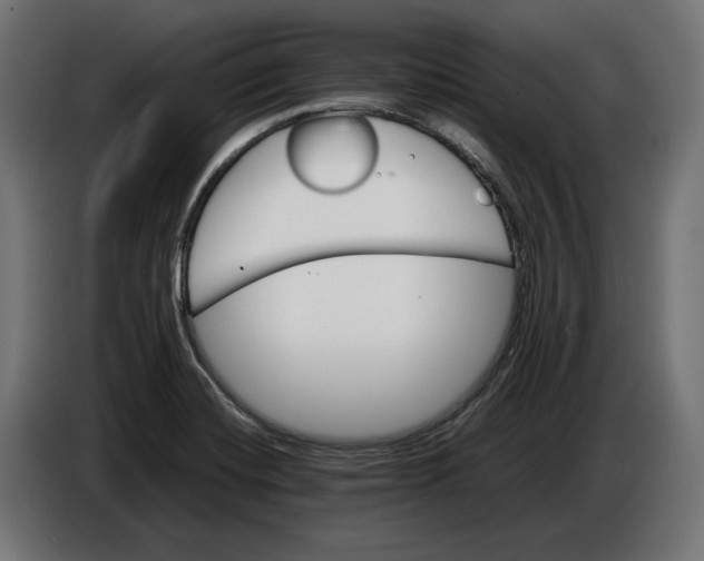 X0000086761420200705041439