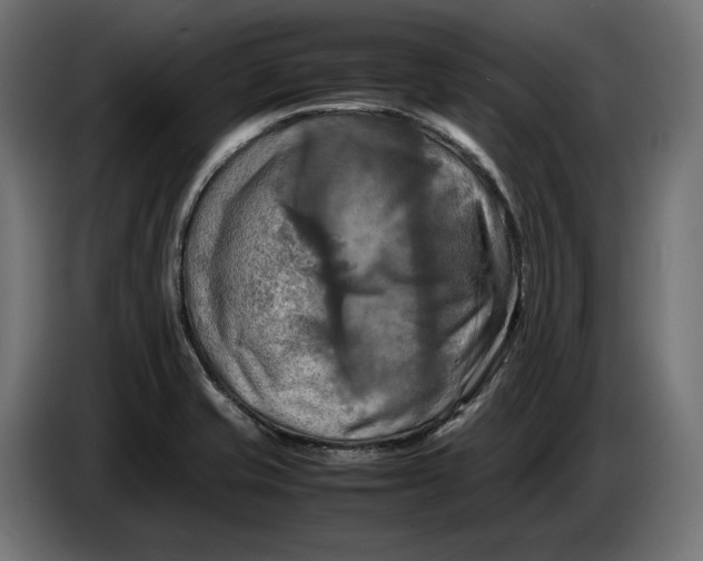 X0000086761421200705041439