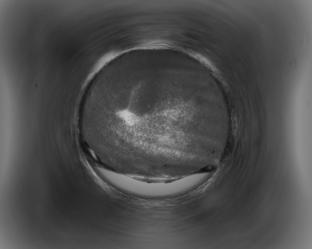 X0000086761422200705041439