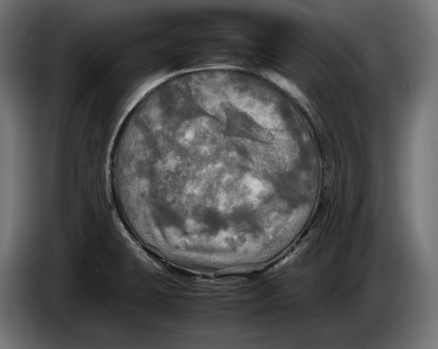 X0000086761423200705041439