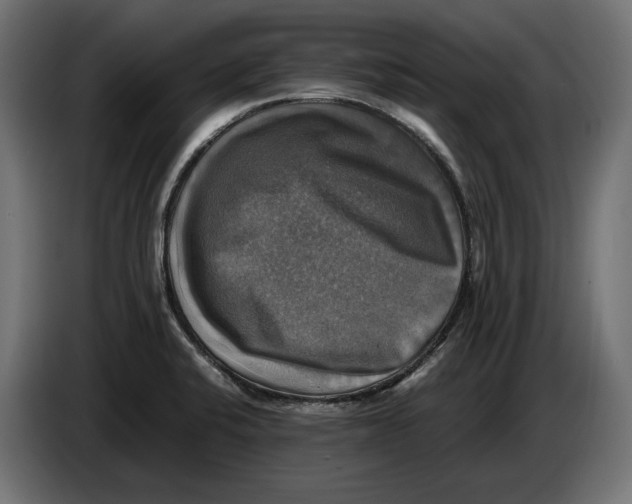 X0000086761424200705041439