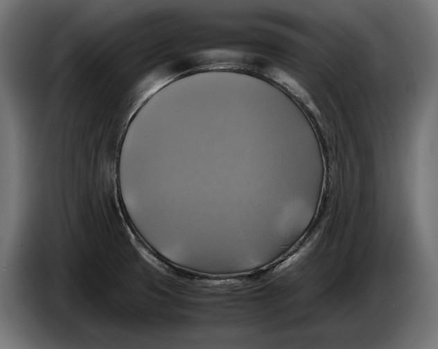 X0000086761425200705041439