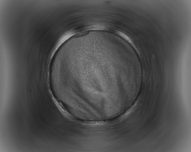 X0000086761426200705041439