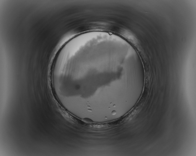 X0000086761427200705041439