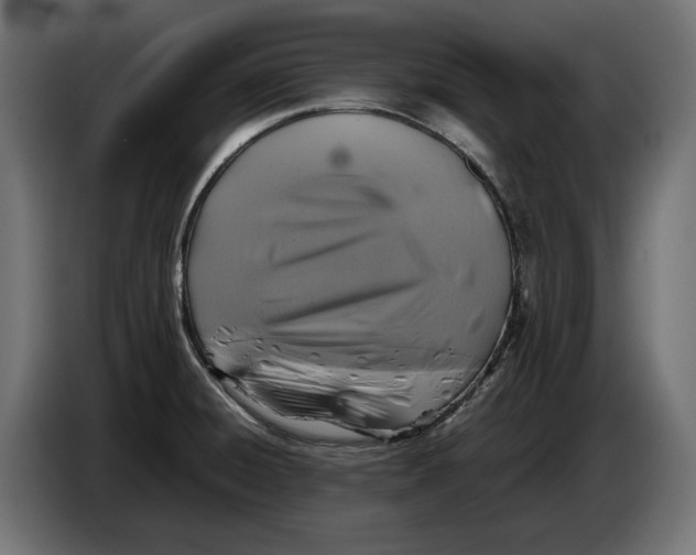 X0000086761428200705041439