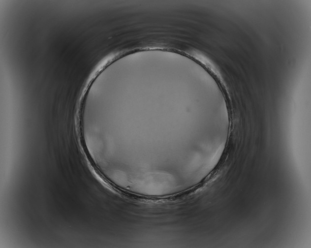 X0000086761429200705041439