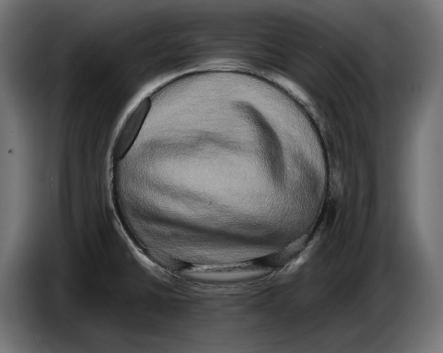 X0000086761430200705041439