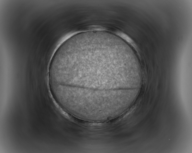 X0000086761431200705041439