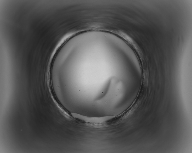 X0000086761432200705041439