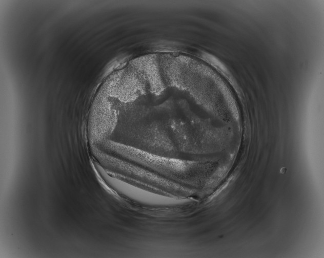 X0000086761433200705041439