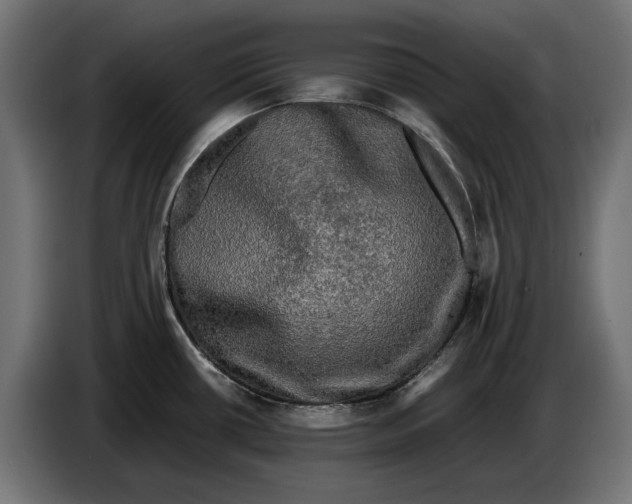 X0000086761434200705041439