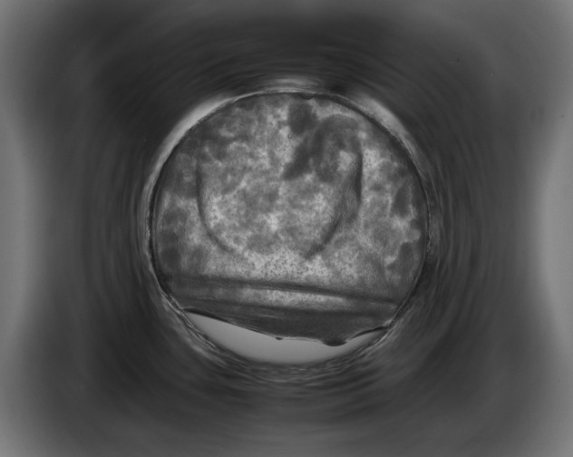 X0000086761435200705041439