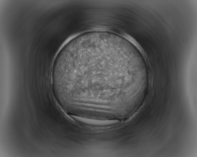 X0000086761436200705041439