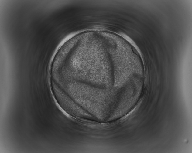 X0000086761437200705041439