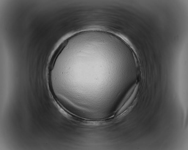 X0000086761438200705041439