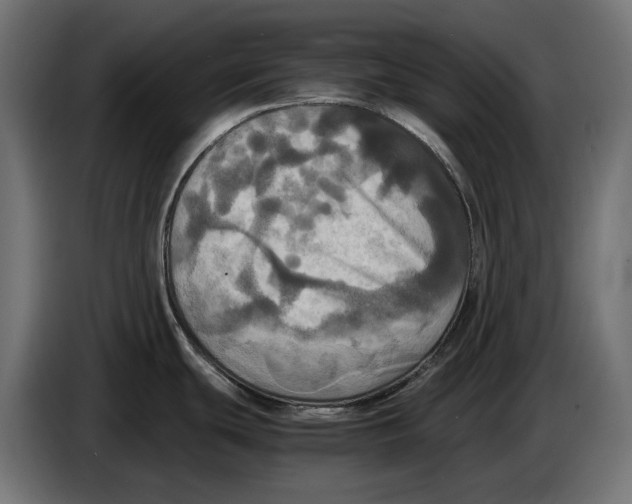 X0000086761439200705041439