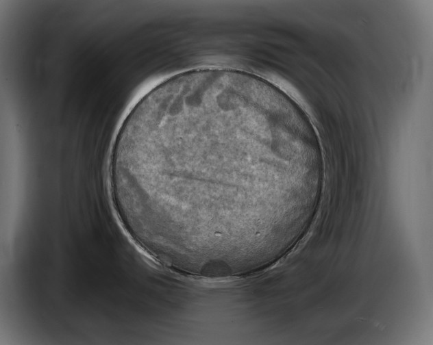 X0000086761440200705041439