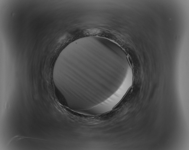 X0000086761441200705041439