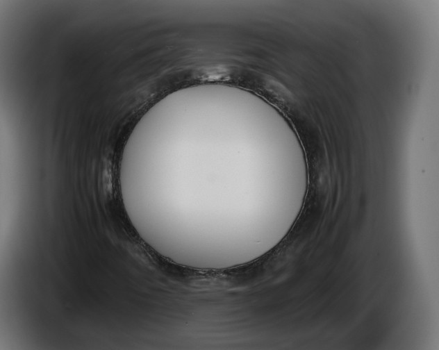 X0000086761442200705041439