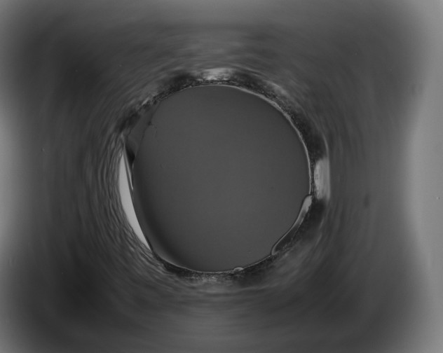 X0000086761443200705041439