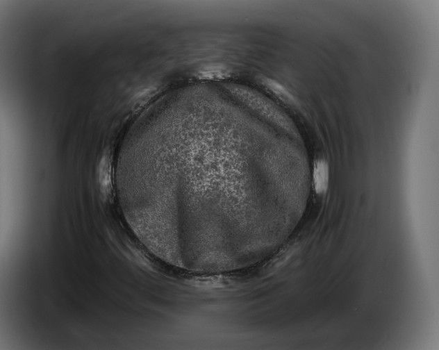 X0000086761444200705041439