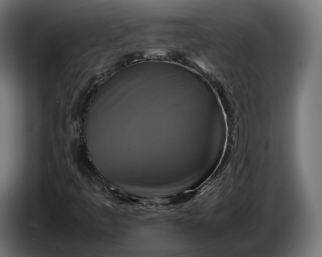 X0000086761445200705041439