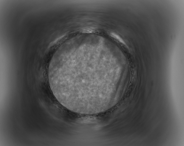 X0000086761446200705041439