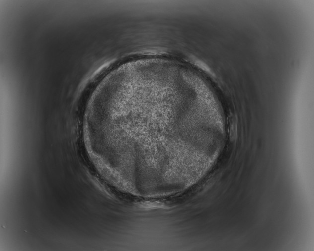 X0000086761448200705041438