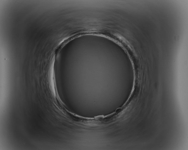 X0000086761449200705041438