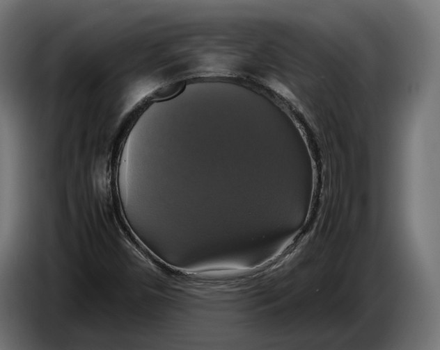 X0000086761450200705041438