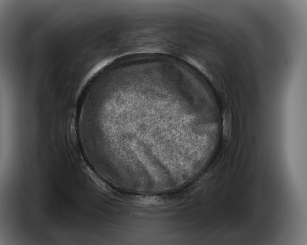 X0000086761452200705041438