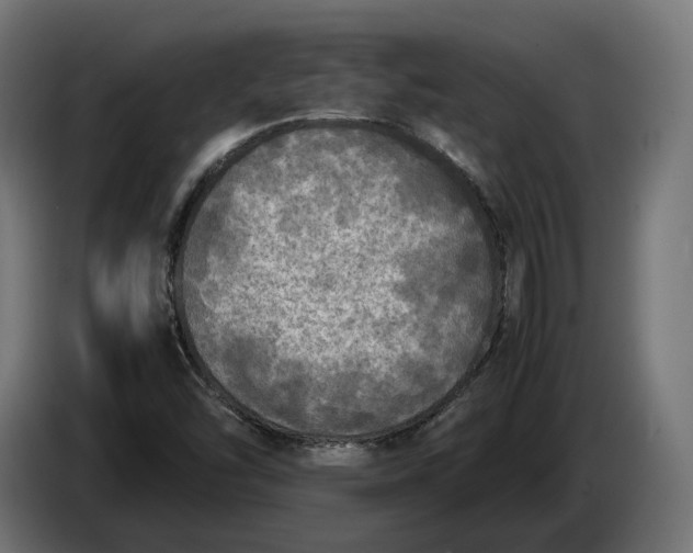 X0000086761454200705041438