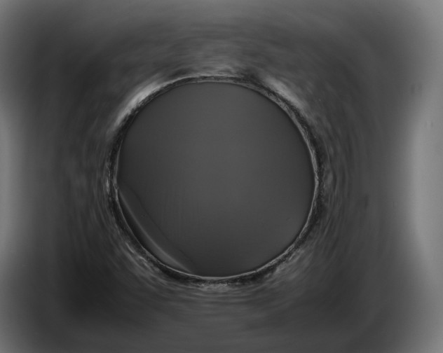 X0000086761455200705041438